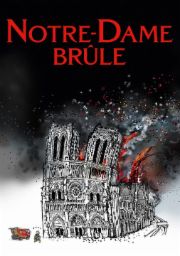 Notre-Dame br&ucirc;le