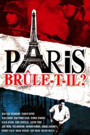 Paris br&ucirc;le-t-il ?